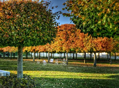 Ein ruhiger Platz