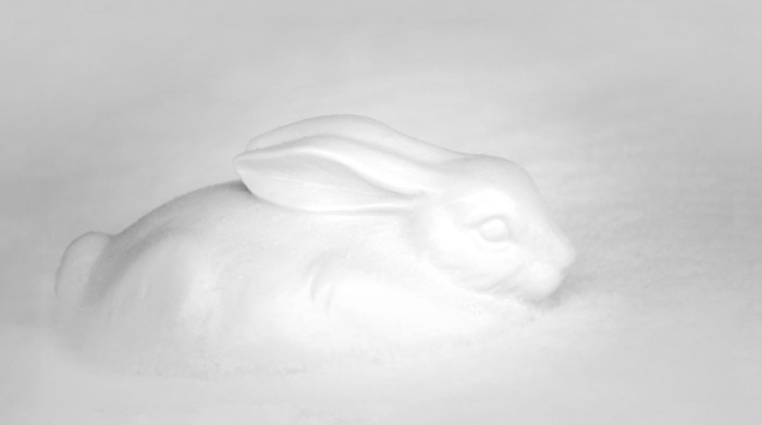 Schneehase...