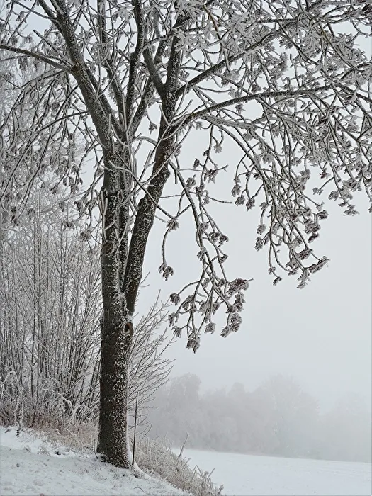 Winter - und alles schläft - also psst ;-)