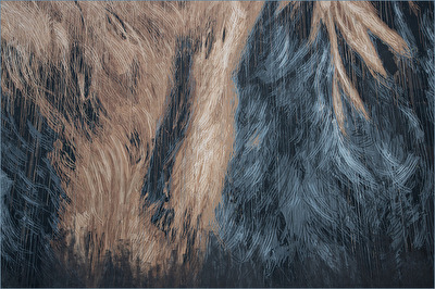 Federkleid eines Jagdvogels - Detailaufnahme eines Murals, Wuppertal