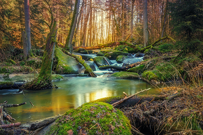Morgens im Leraubachtal