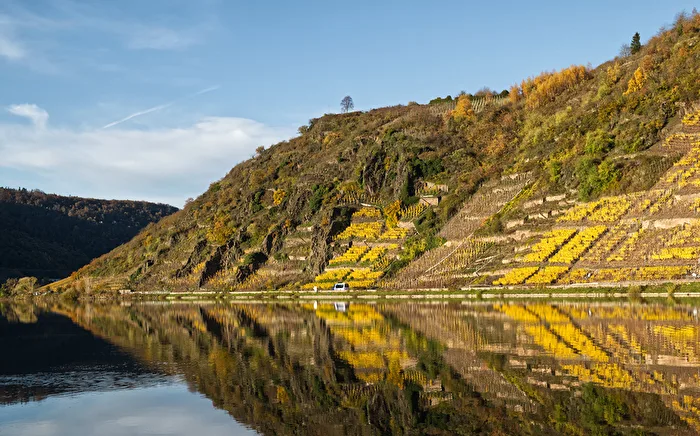 Moselherbst