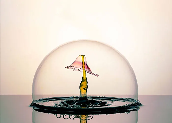 ***Dome***
