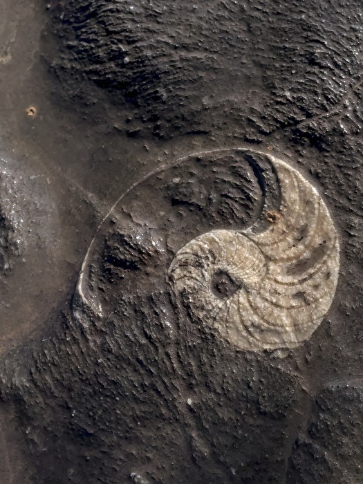 das "Meer ohne Wasser"