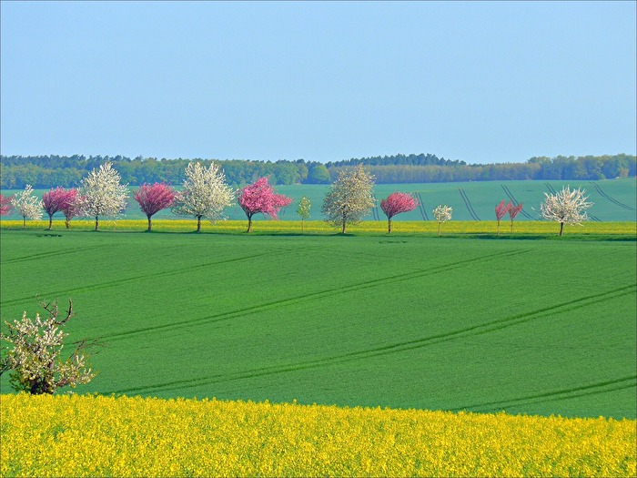 bunte Landschaft