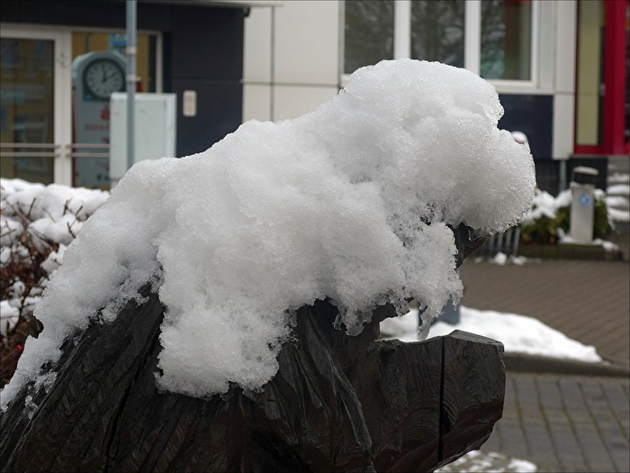 kleiner "Schneehund"