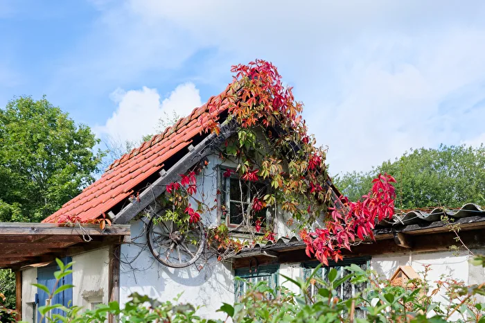 Caseta de jardín
