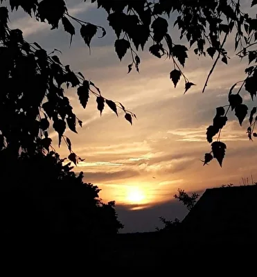 ohne Titel
