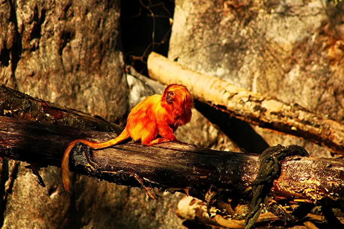 Im Leipziger Zoo