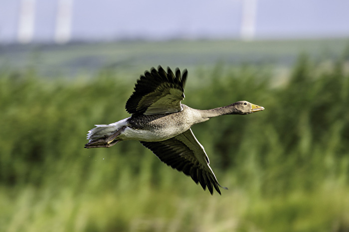 Muss mich be eilen…..