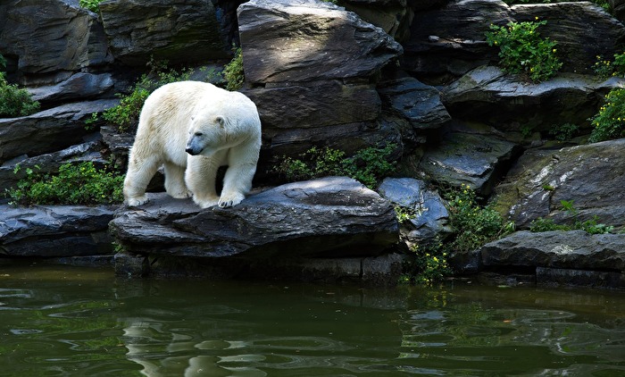 Geh ich jetzt ins Wasser oder nicht?
