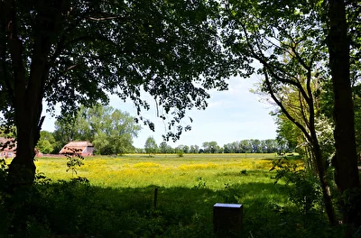 Ländliche Idyle
