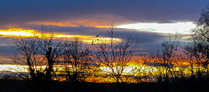 Sonnenuntergang an der Triesting