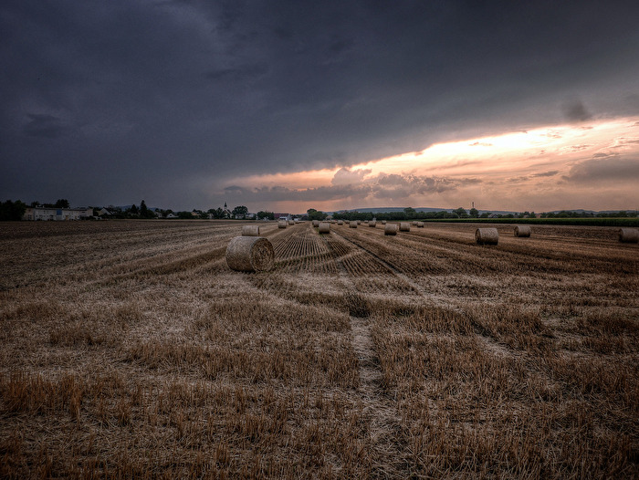 nach der Ernte