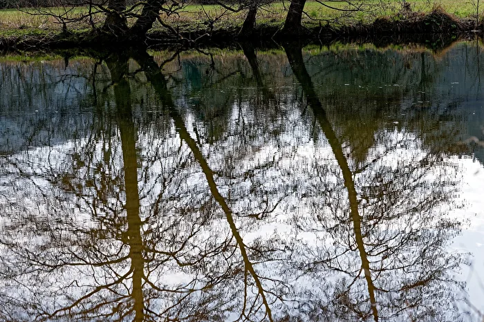 umgekehrt - Spiegelung im Teich