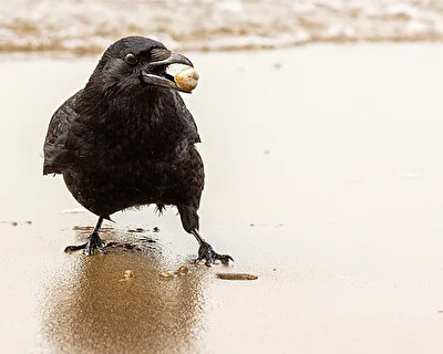 neulich am Strand