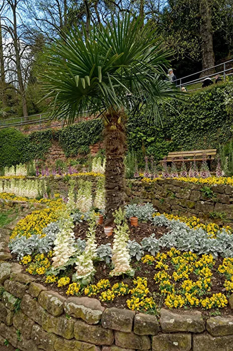 Blüten
