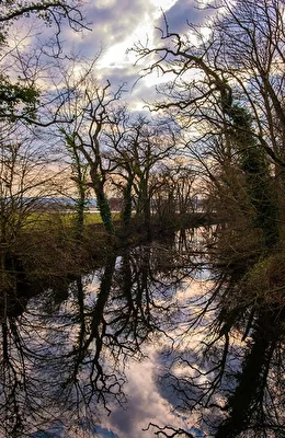 Spiegelung im Schlosspark