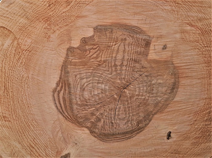 " Faszination Holz "