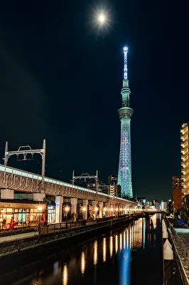 Skytree