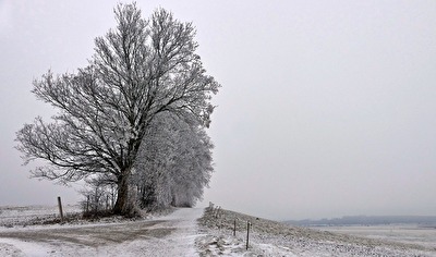 Frostige Natur