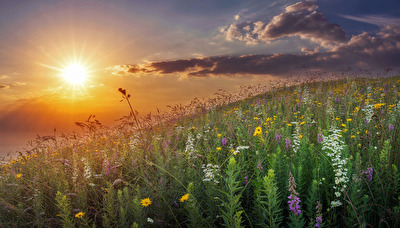 #Sonne bzw. #Abendrot