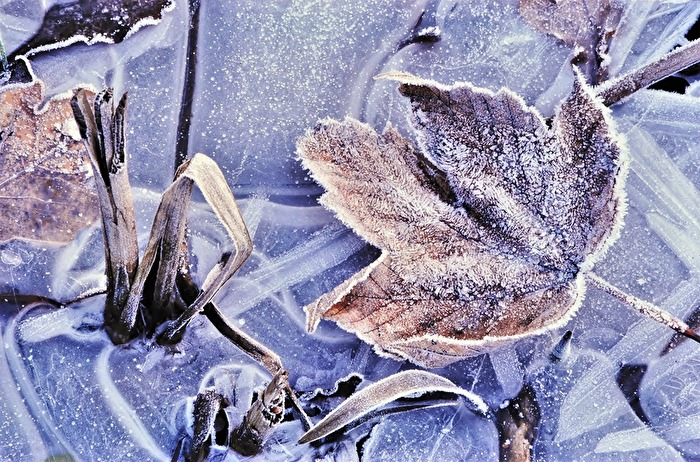 " Die Nacht war eiskalt "