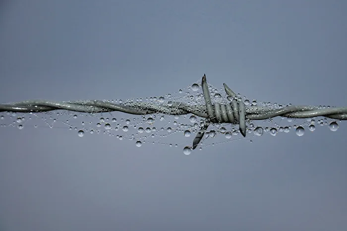 Ein älteres Foto, noch mit einer Nikon D5000 geschossen