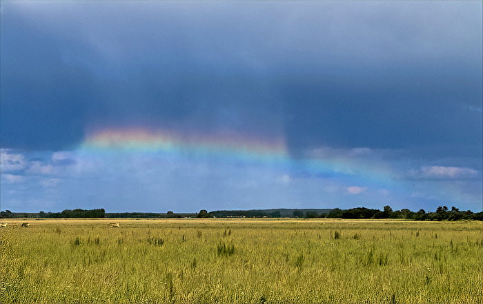 Zirkumhorizontalbogen