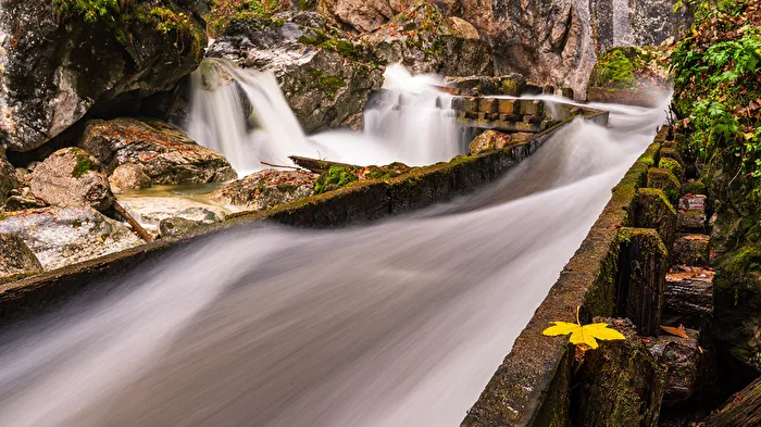Blatt am Wasser