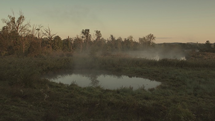 Herbst - Morgennebel in der Auenlandschaft