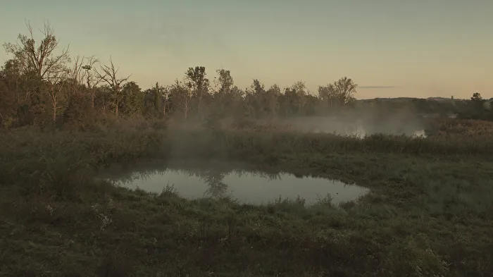 Herbst - Morgennebel in der Auenlandschaft
