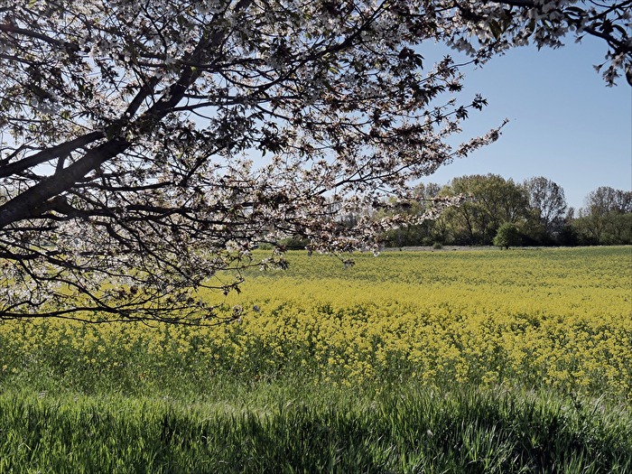 Frühlingslandschaft