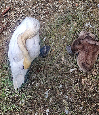 Familienzeit am See