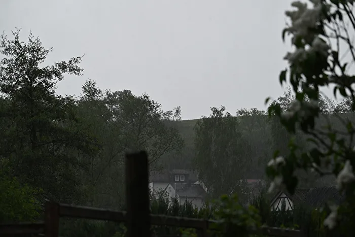 Regenguss