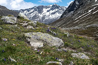 Landschaft