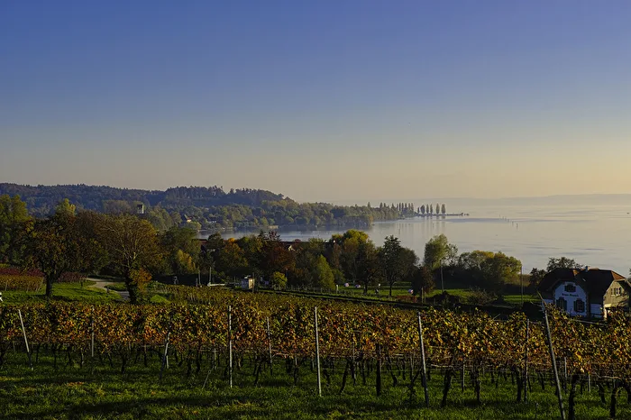 Bodensee 5