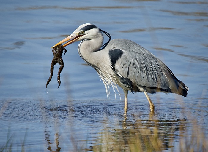 Der Tag, an dem der Leiter der Tauchstation sein Leben verlor........