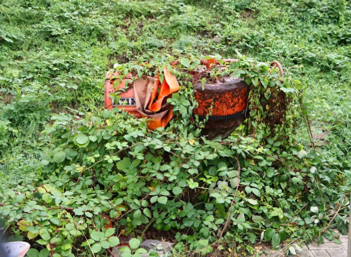 Natur holt sich Betonmischer