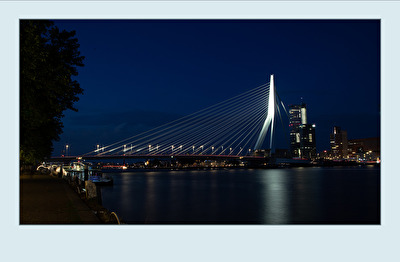 Rotterdam - Erasmusbrug by night