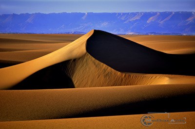 Sand Dune