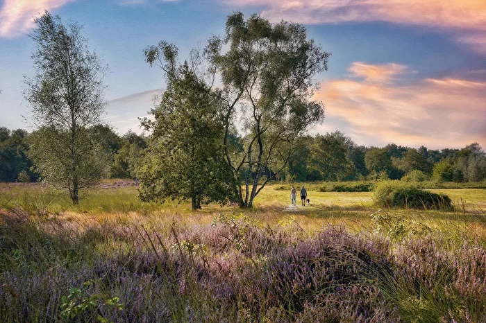 Nationaal Park De Maasduinen