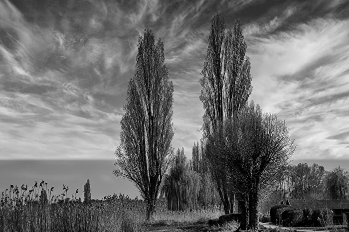 Die Reichenau im Winter