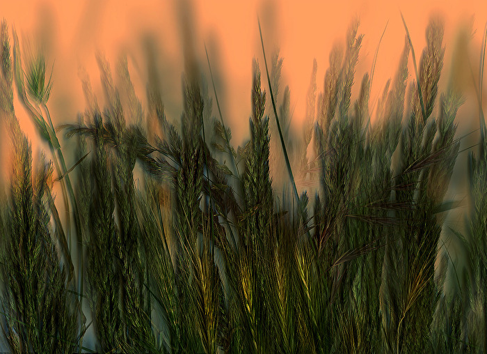 an diesem Abend -                    Anderswelten  (No.113)