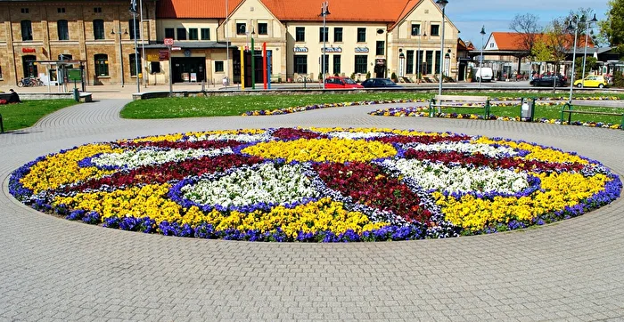 Tolles Blumenbeet