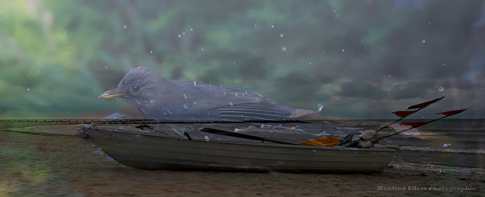 Die Reise kann beginnen