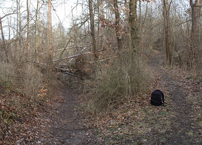 Zwei Wege  zur Teufelskanzel