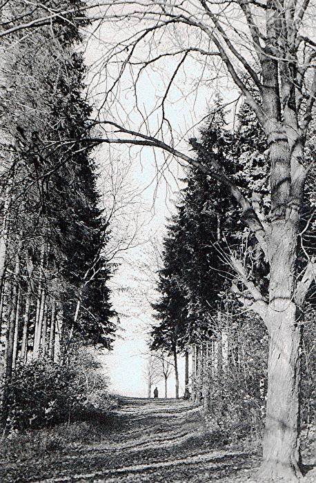 Kranberg 1965