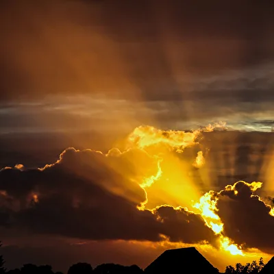 Golden Ligths