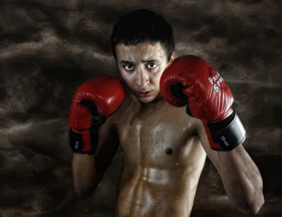 the boxer
